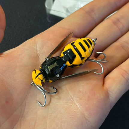 Kingdom Wasp Crawl 05 – Nr. 1 Šapalų Masalas