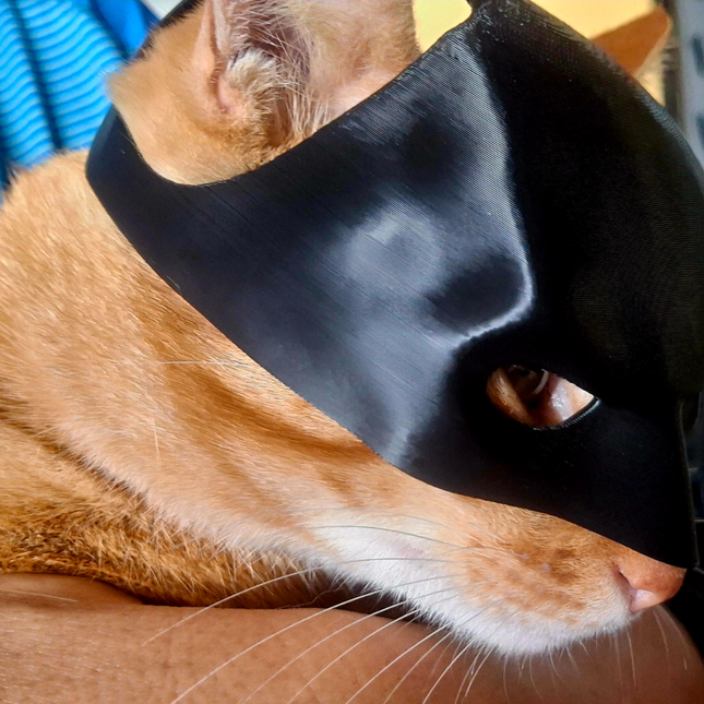 „Catman Hero“ – Stilinga Betmeno Kaukė Jūsų Augintiniui
