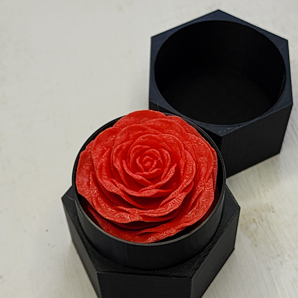 „Eternal Rose“ – Amžinoji Rožė Elegantiškame Vazone