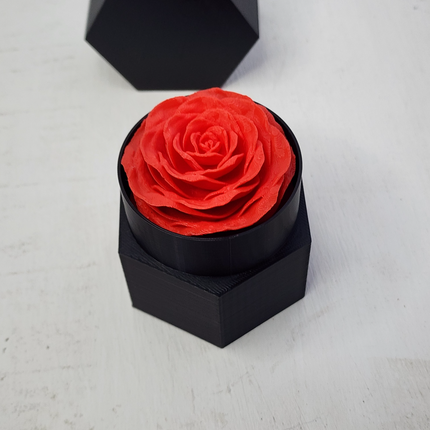 „Eternal Rose“ – Amžinoji Rožė Elegantiškame Vazone