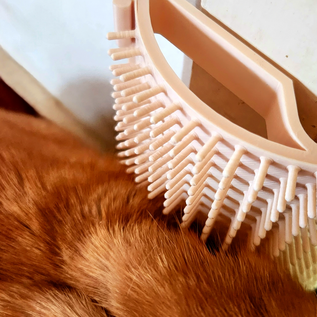 „Pūkelis“ – Sieninis Savaiminio Kailio Priežiūros Šepetys Katėms