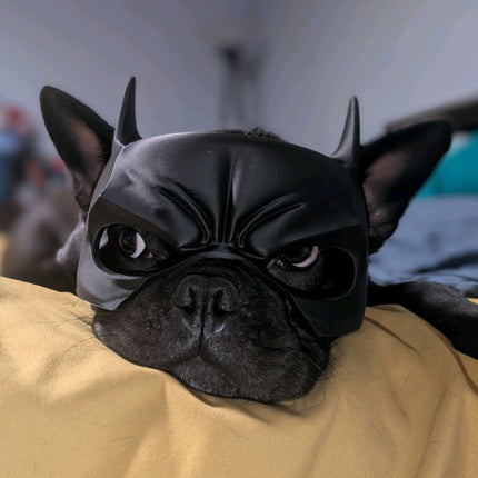 Prancūzų Buldogo ir Mopso Betmeno Kaukė