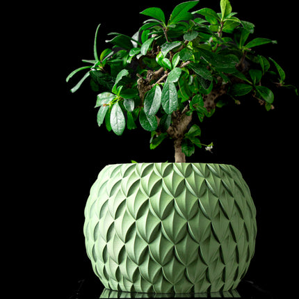 „Žvynelinė“ (Scale) – Modernus Dekoratyvinis Vazonas