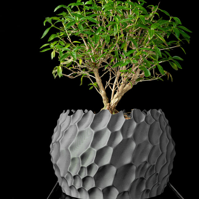 Modernaus Dizaino Reljefinis Vazonas