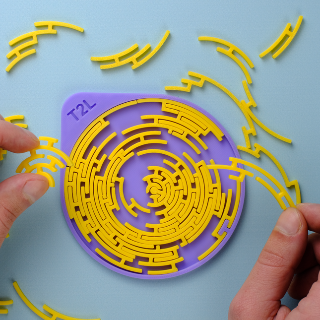 Apskritasis Labirinto Iššūkis – Intuityvioji Dėlionė Su Dėžute