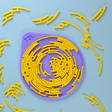 Apskritasis Labirinto Iššūkis – Intuityvioji Dėlionė Su Dėžute