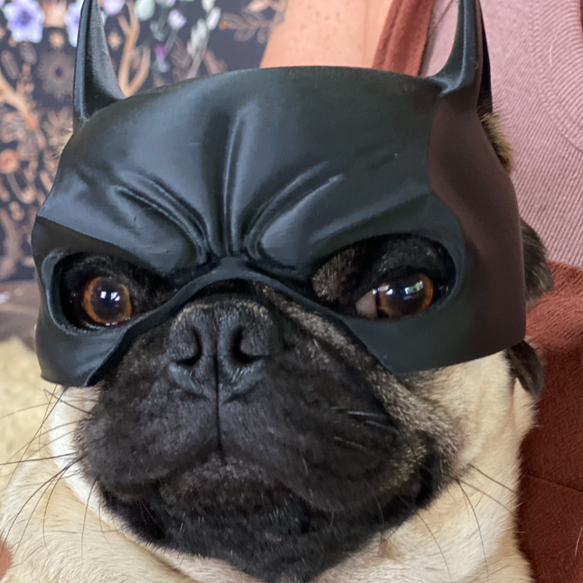 Prancūzų Buldogo ir Mopso Betmeno Kaukė