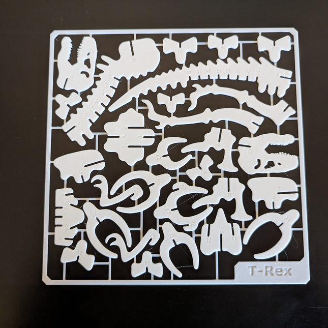 Tiranozauro (T-Rex) Skeleto Dėlionė-Kortelė – Miniatiūrinis Dinozaurų Rinkinys