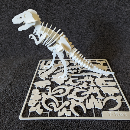 Tiranozauro (T-Rex) Skeleto Dėlionė-Kortelė – Miniatiūrinis Dinozaurų Rinkinys