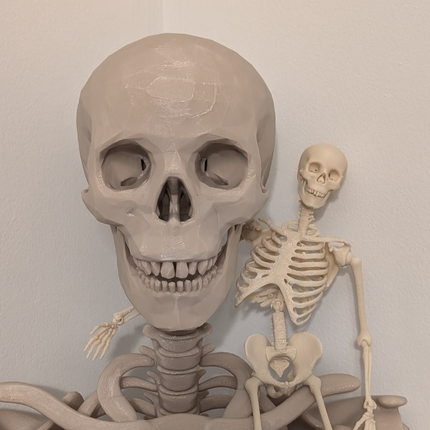 Lankstus žmogaus skeletas dekoracijai Helovynui