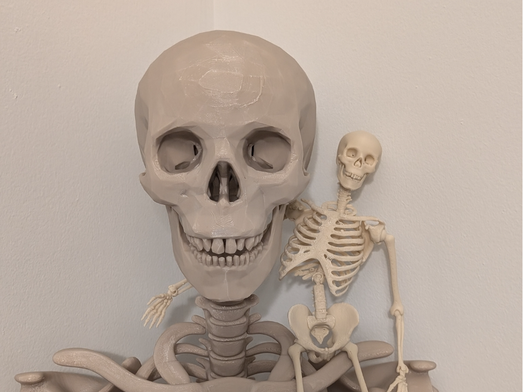 Lankstus žmogaus skeletas dekoracijai Helovynui