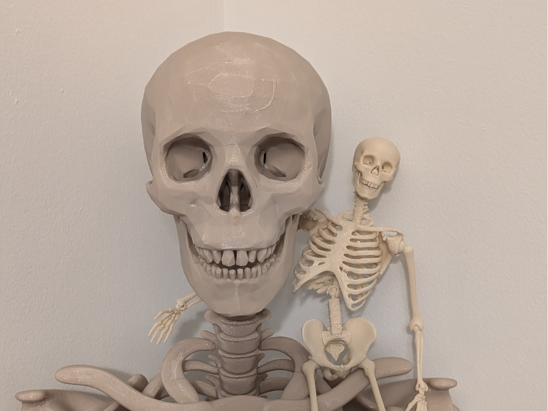 Lankstus žmogaus skeletas dekoracijai Helovynui