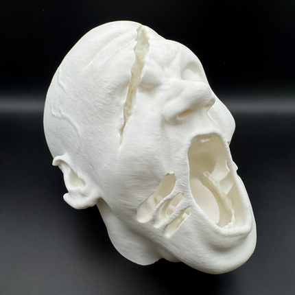 XL zombio galva dekoracijai Helovynui