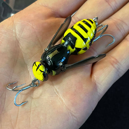 Kingdom Wasp Crawl 06 – Nr. 1 Šapalų Masalas