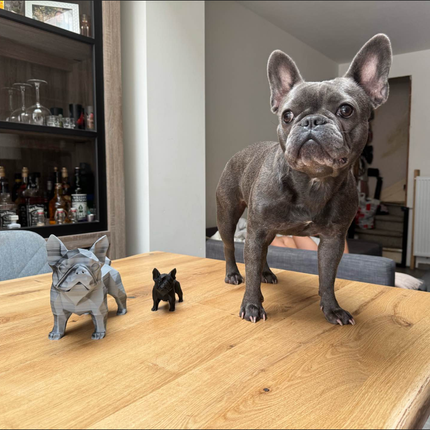 Prancūzų buldogo statulėlė