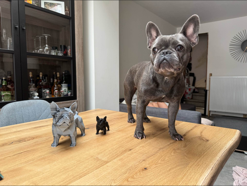 Prancūzų buldogo statulėlė